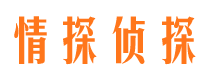 市中市婚姻出轨调查